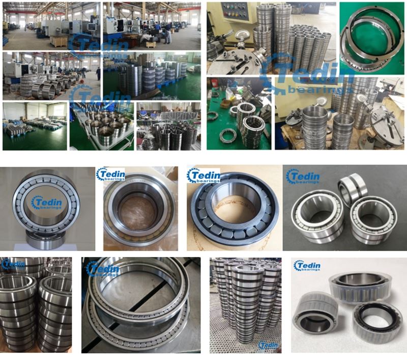 Tedin's production of full complement cylindrical roller bearing