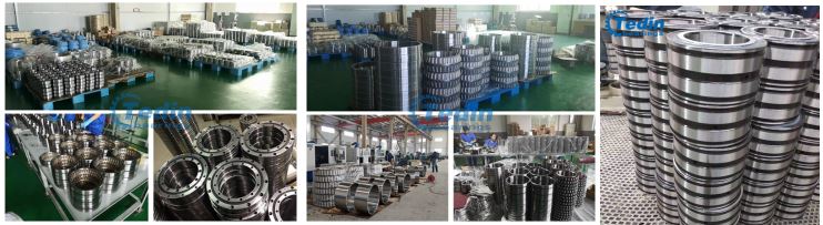 SL series Full complement cylindrical roller bearing